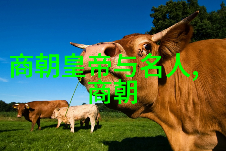 明朝历史看什么书最好我是怎么学到手的明朝历史经典