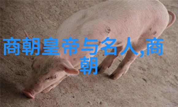 黄梅戏艺术节第六届盛会江苏省深藏的文化之宝登上历史舞台真正成为万众瞩目的焦点