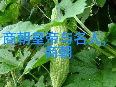 超级无敌的丑猫王子揭秘它如何用一声喵震撼世界