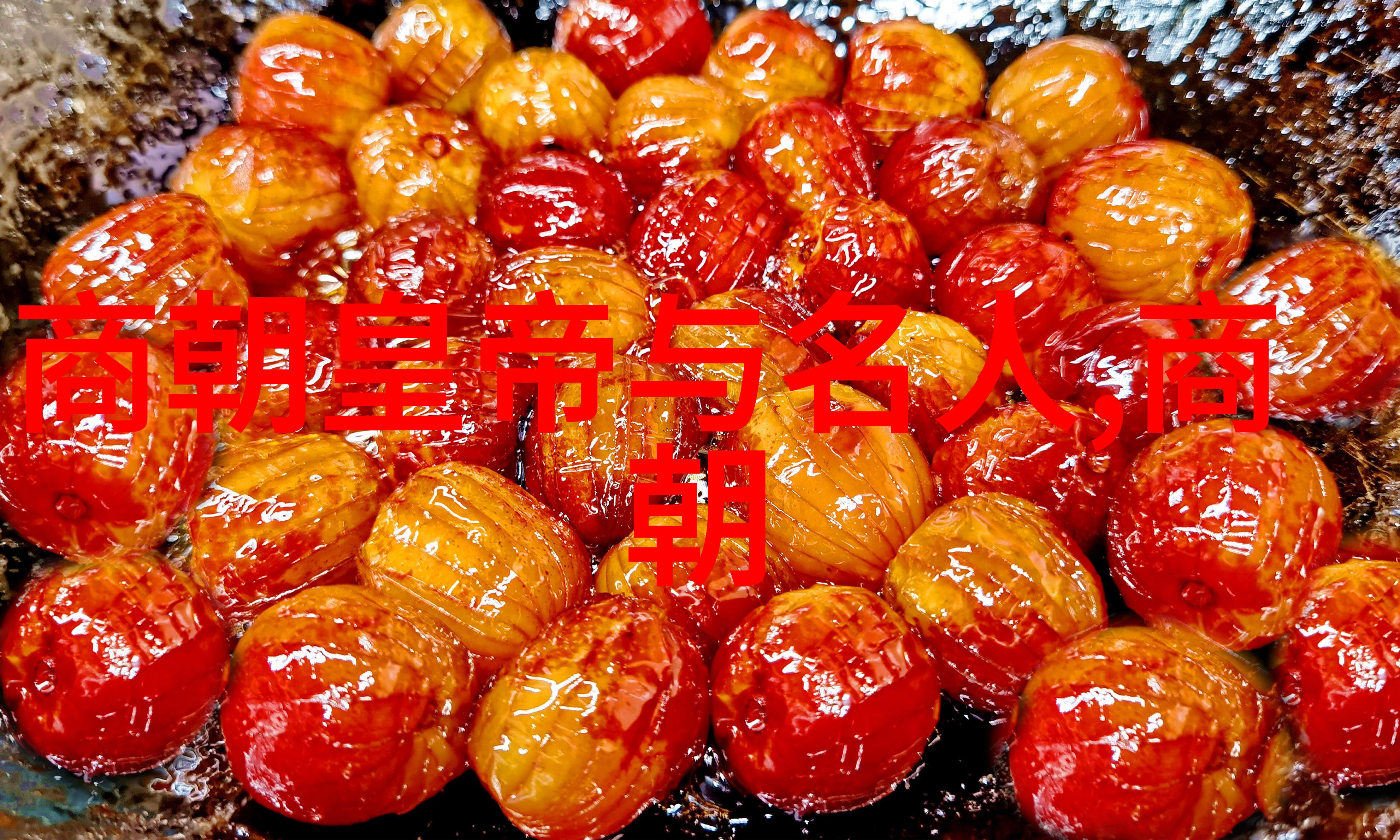 明朝重要事件发生顺序-时光长河重构明代历史的关键瞬间