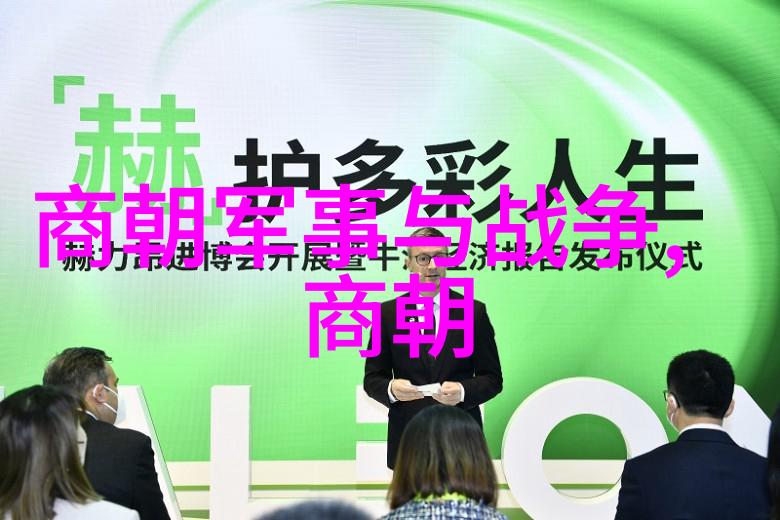 隋朝16帝传记概览