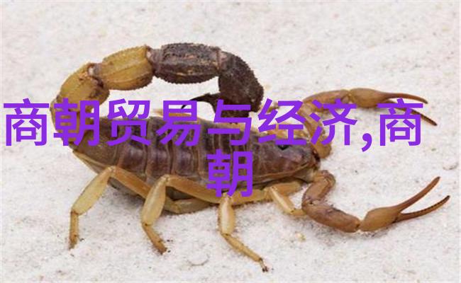 明朝时空编织历史纷飞