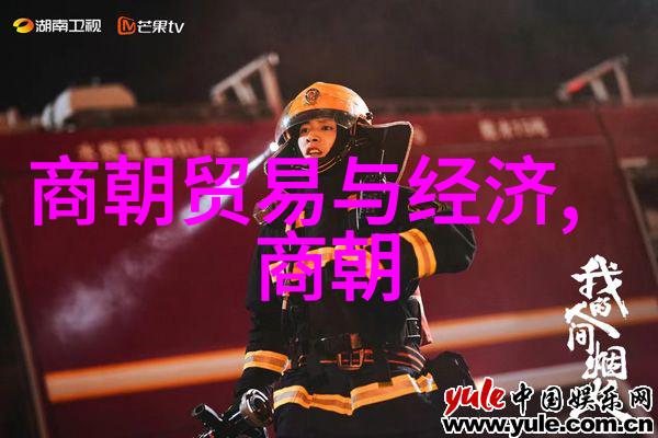 铁血与文明努尔哈赤的帝国梦想与清朝的历史征程