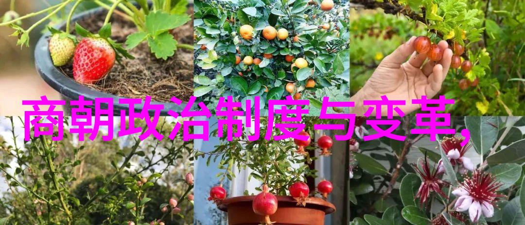 天皇伏羲地皇神农人皇轩辕秘密揭开神仙刘海原型的传奇面纱