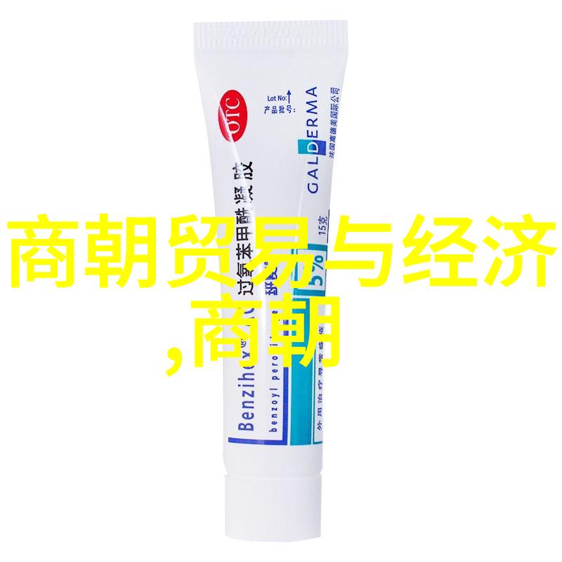 明朝历代时间表龙腾四海的时光篇章