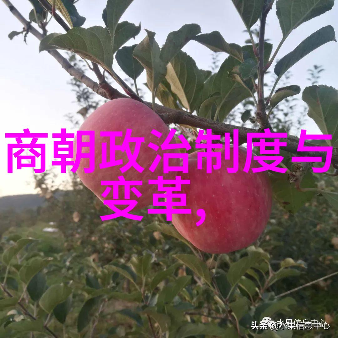 陈炯明中国战斗机在自然风光中的独特飞行场景