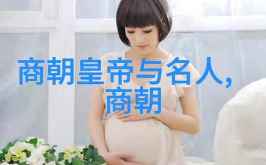 元朝对中国的贡献我国历史上的蒙古王朝铁骑下的文明传承