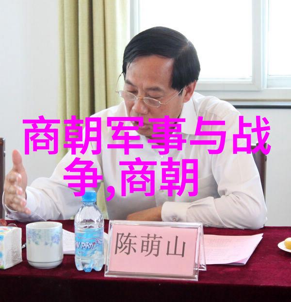 时光之轮揭秘明朝历史的影像篇章