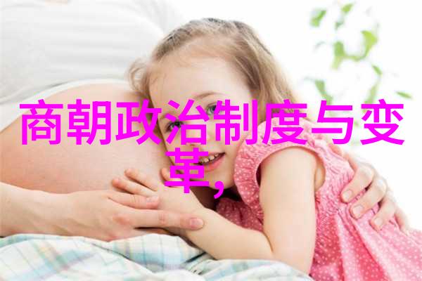 明朝历史一场穿越时空的视频奇幻之旅