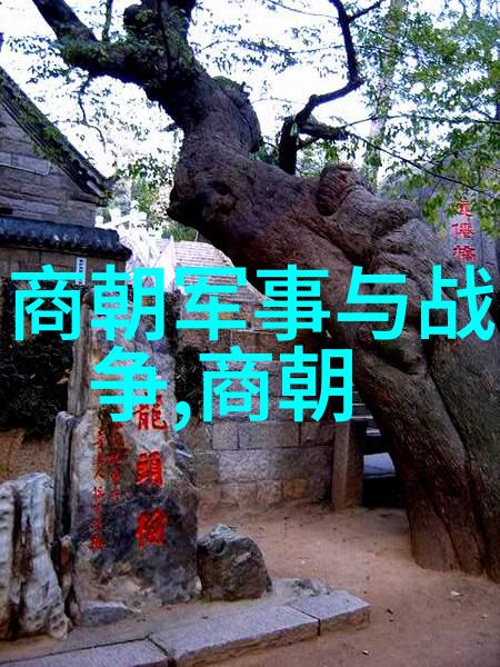 任务表图片S给m的工作分配与进度追踪