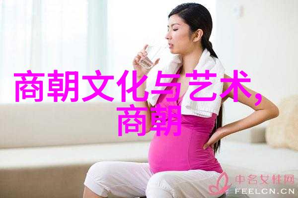 宋代社会变迁的多面象征经济文化与政治的交织