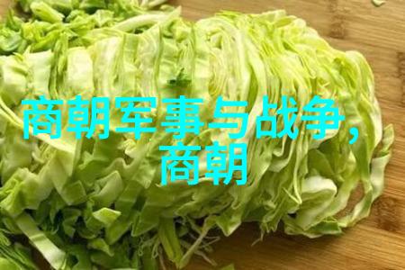明朝的辉煌探索一个强国的真实力量