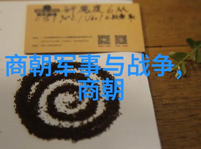 明朝盛世辉煌万历至天启年间的繁华景象