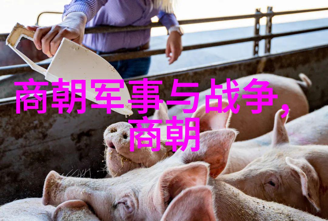 元朝废除了什么老子都不知道了