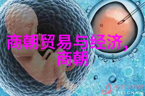 杨淑妃的琴韵情感共鸣下的古韵舞步