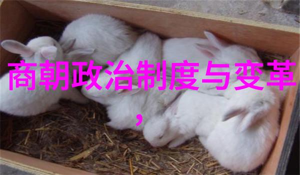 三国猛将谱公子高嬴高陕西名将名列三十六猛将之首