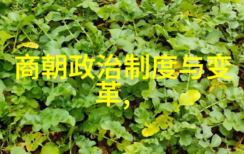明朝英宗朱祁镇最无耻的我见过的历史上最不要脸的皇帝明朝英宗朱祁镇