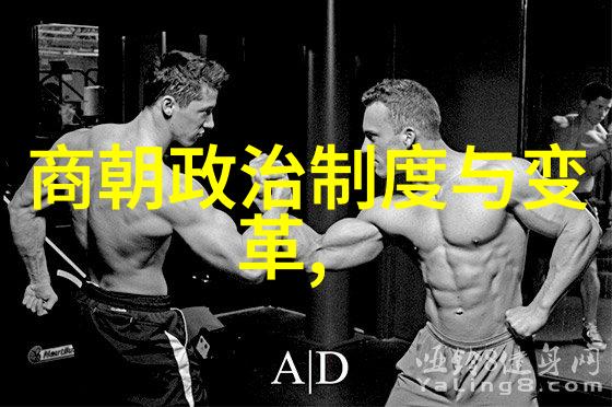 明朝最耀眼的星辰江山社稷的守护者