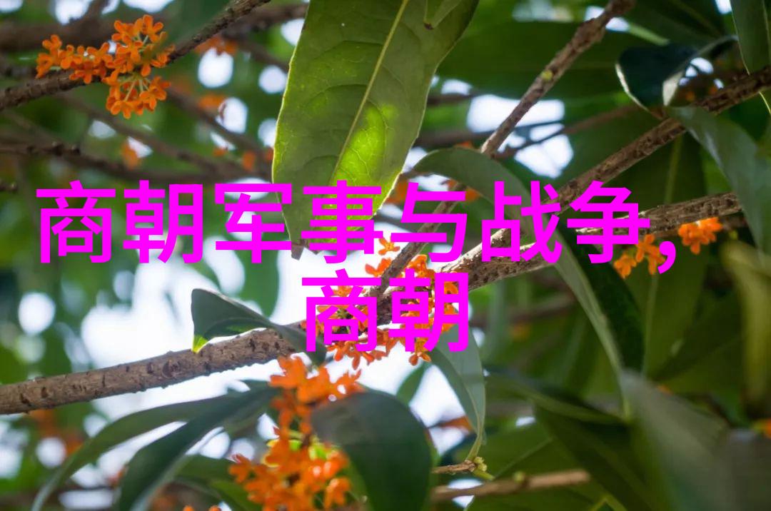 课代表趴在桌子上让我抄一段教育中的小插曲