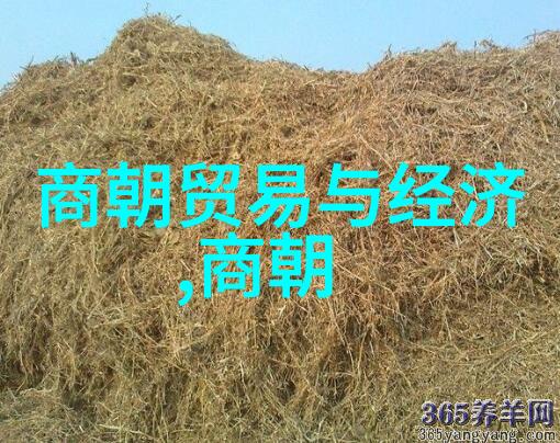 吕布简介锦绣前程如云集公向善举如星辉辉煌事业尚武气磅礴崇文理高超