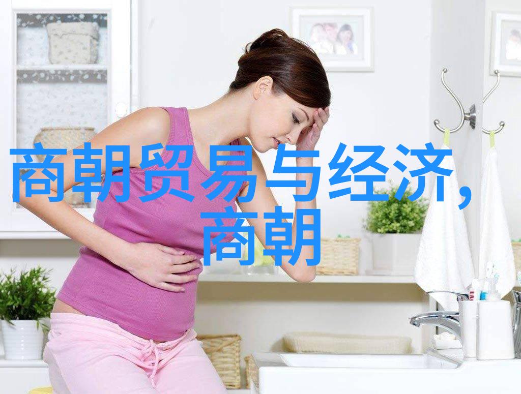 明朝秘录尘封千年宫廷阴谋与皇权之争