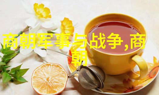 刘玮琳国内唯一高科技风洞训练科研基地的开创者与卓越学者