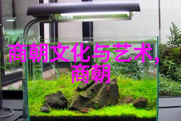 中国史上的三大衰落弱冠的王朝