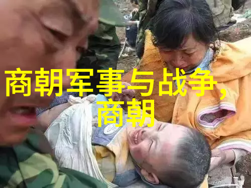 紫禁城里的阴谋与暴力一个失落的宫女命运考察