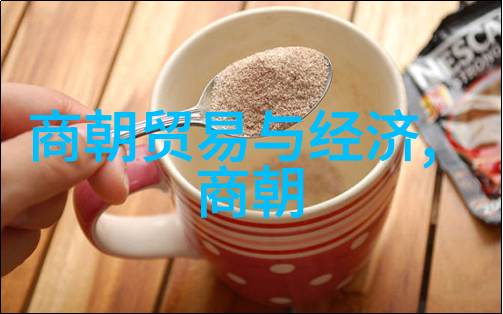 战国名人赵献子简介