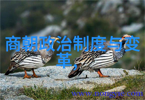 明朝历史上的霸主权臣与才俊的较量