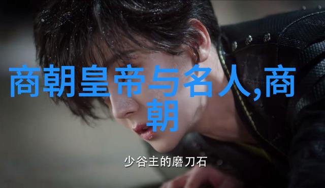 中华帝国辉煌王朝的兴衰与变迁