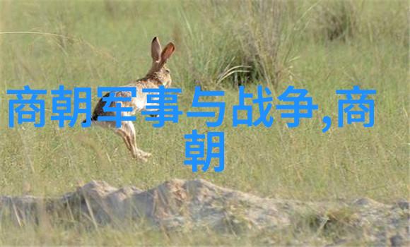 暮色之巅元朝的末路交响曲