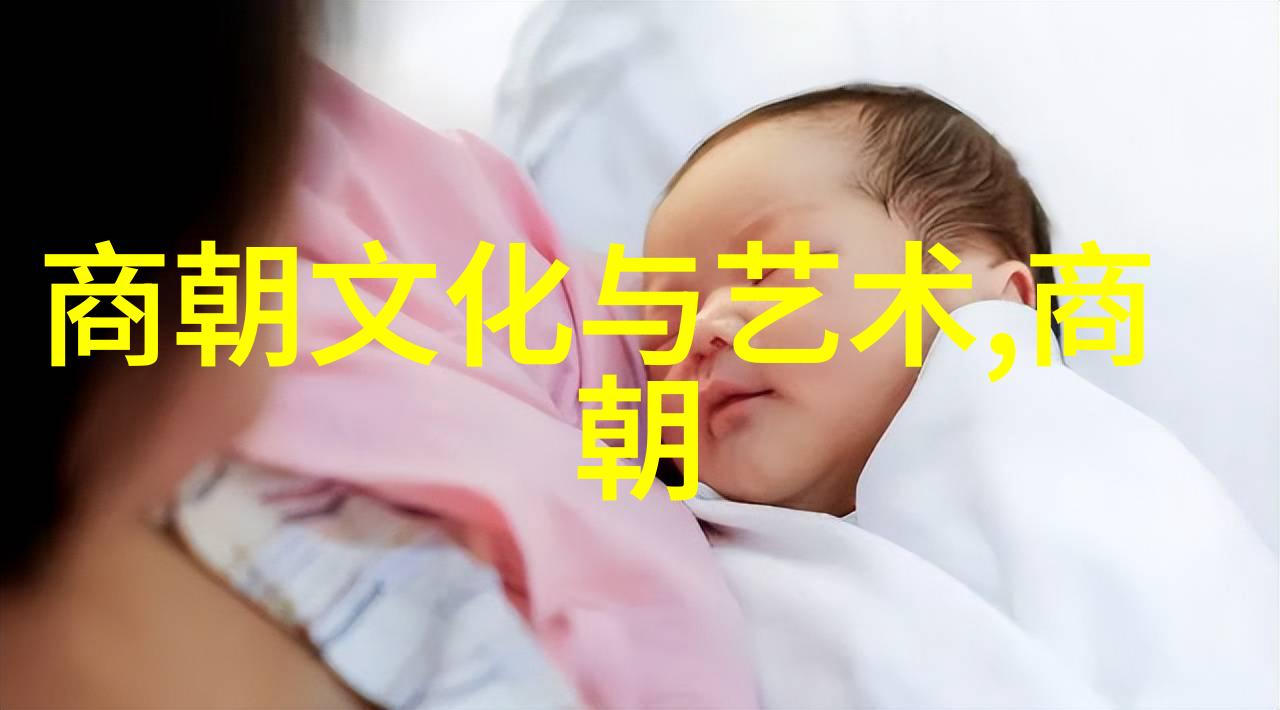 大明战神之冠朱祁镇的无敌武威