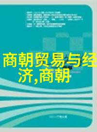 辽金为什么不列入正史我是怎么想的辽金史的遗漏之谜