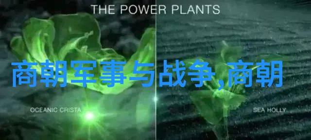 慕容晓晓黄梅戏歌词演绎赵媛媛的旦行魅力
