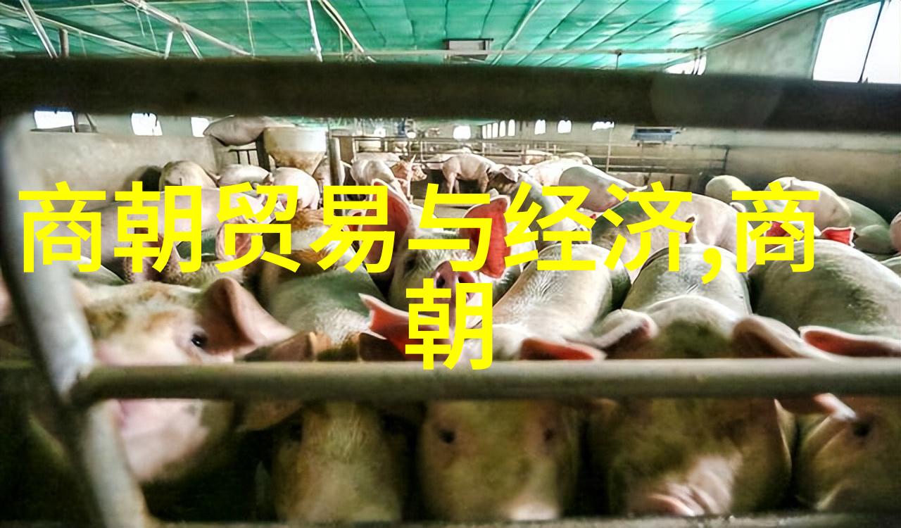 穿越时空的历史探秘中国朝代顺序时间表背后的谜团是什么