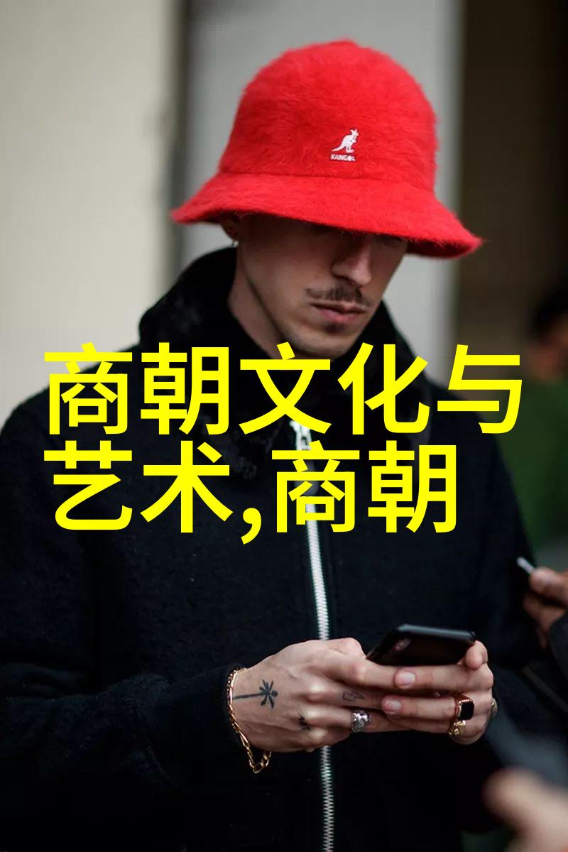 南宋覆亡之谜历史的隙缝与民族的挣扎