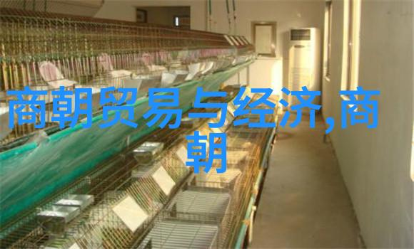 北周禅让之谜杨坚崛起的背后政治联姻与军事实力