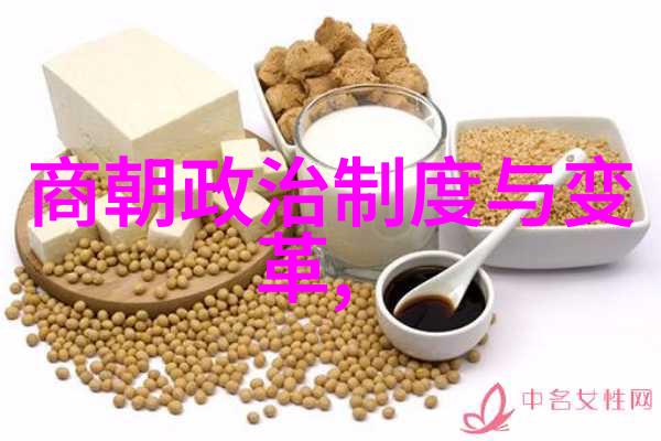 逆袭与冤屈明末清初四大案件的悲剧与真相