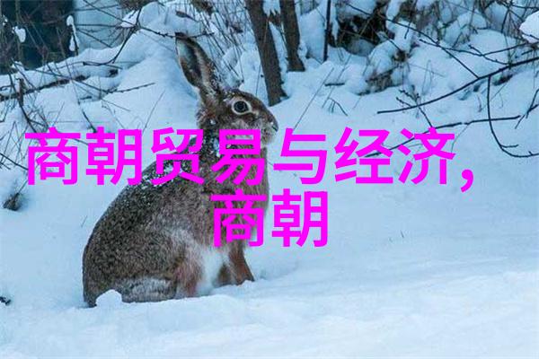晁错中国学信网的温暖回忆