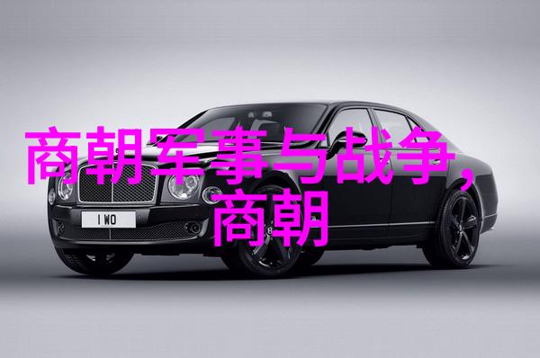 宋金刚指挥下的十年磨一剑2008年全国武术套路锦标赛男子太极拳侧记