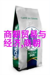 努尔哈赤与清朝的历史定位帝王还是开国者