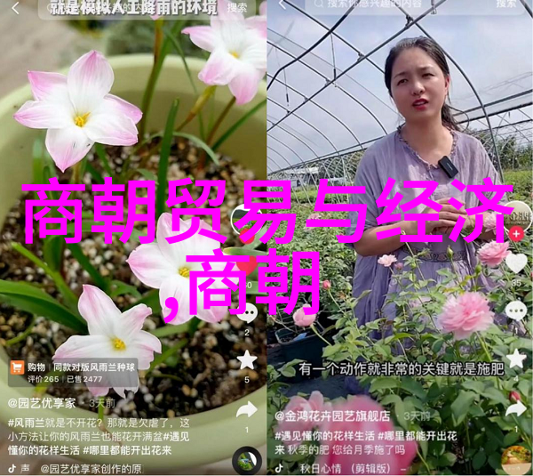 光绪之前的皇位继承者慈禧太后与世子扶植之路