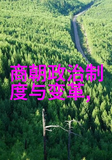 明朝帝王的子孙相传16位继承人的风华录