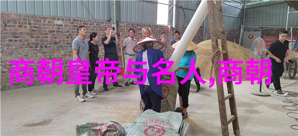 明月下的秘密通道