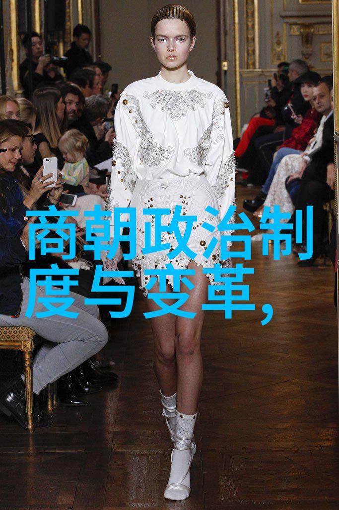 元朝在中国历史中的地位探究朝代认同与文化继承