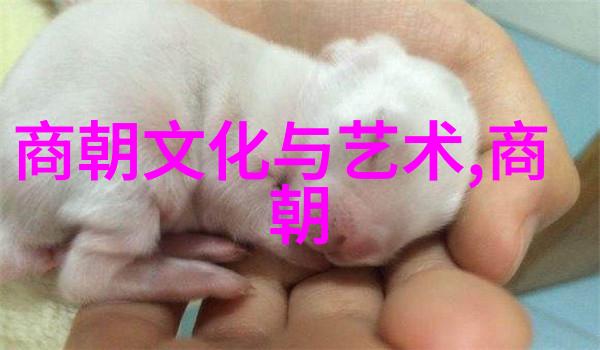 明英宗之称一代帝王的荣耀与挑战