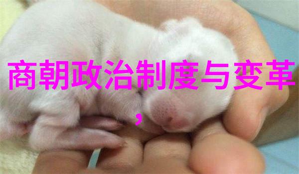 明朝开国功臣朱常洛去世后福王为何未能继承皇位的深层原因探究