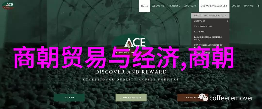 政局混乱经济衰败导致北宋灭亡的深层因素探究