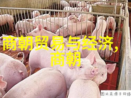 元朝中国叫什么-大元之称探索元朝时期对中国的命名